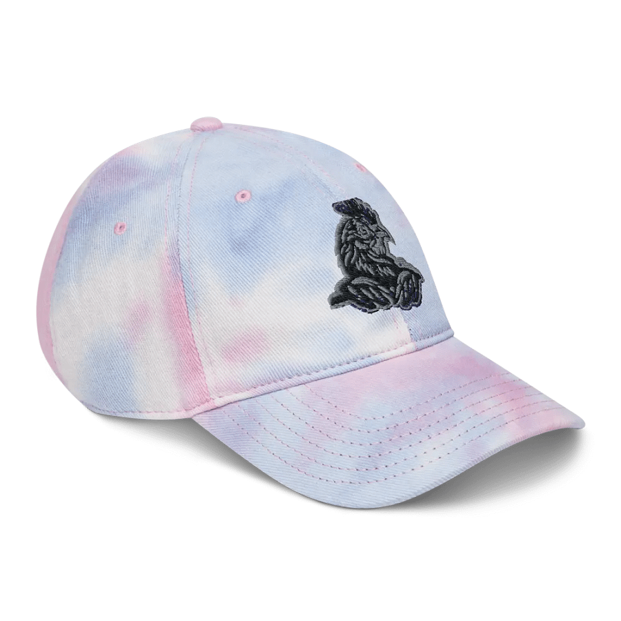 Team Ballcap! product image (9)