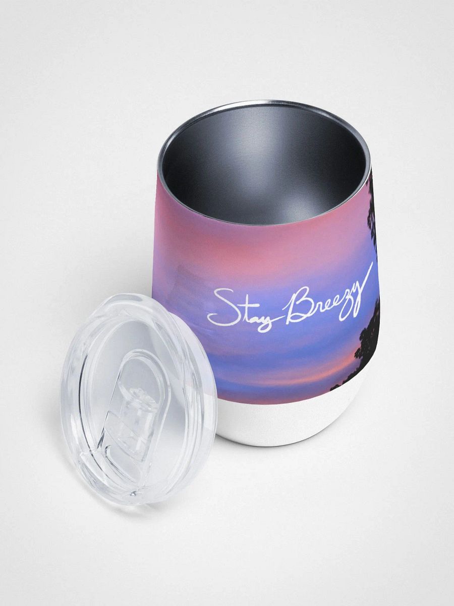 Stay Breezy Picture Wine-Tumbler! product image (3)