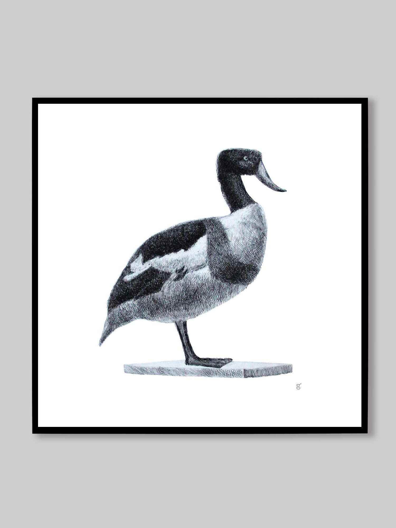Blank Canvas: Unleash Your Artistic Vision - Duck product image (9)