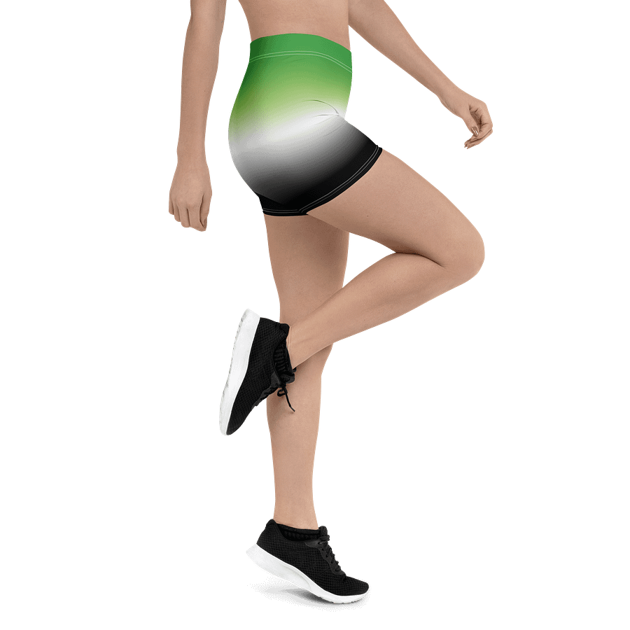 Aromantic Pride Gradient Bike Shorts product image (3)