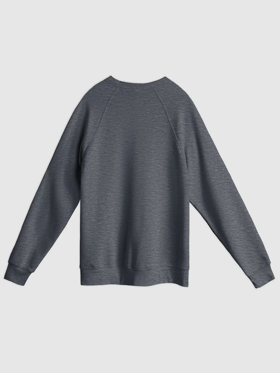 Not All Classrooms Have Four Walls Sponge Fleece Pullover product image (26)