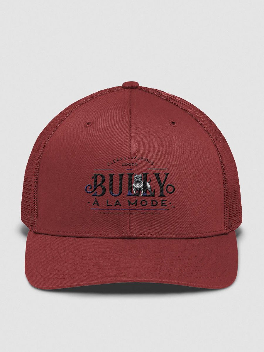 Bully À La Mode's NET-CAP product image (1)