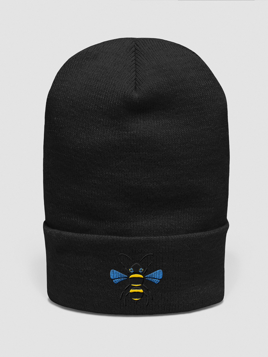 Glass Bee Hoodie product image (1)