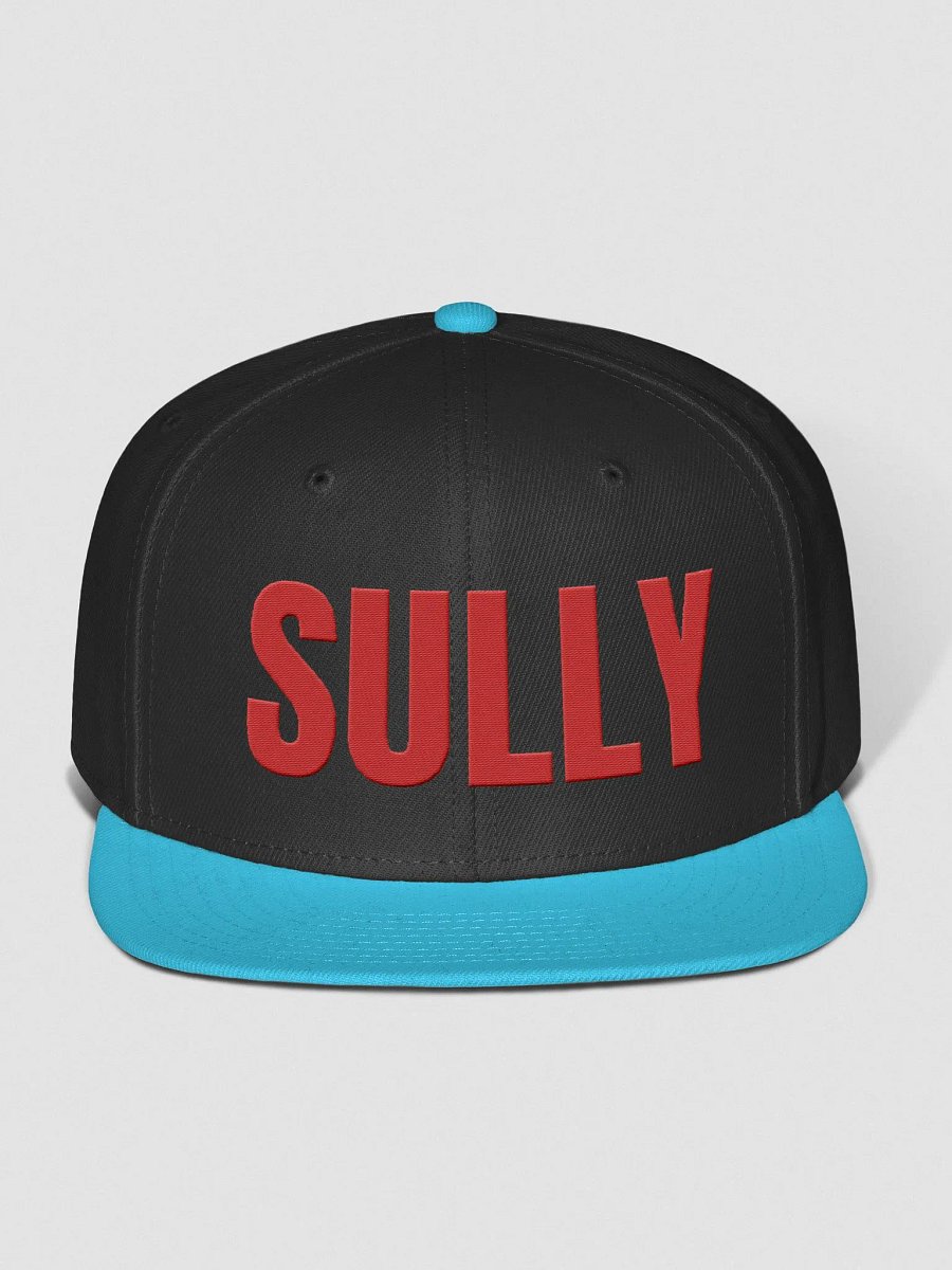 Sully Snap Back Hat product image (1)