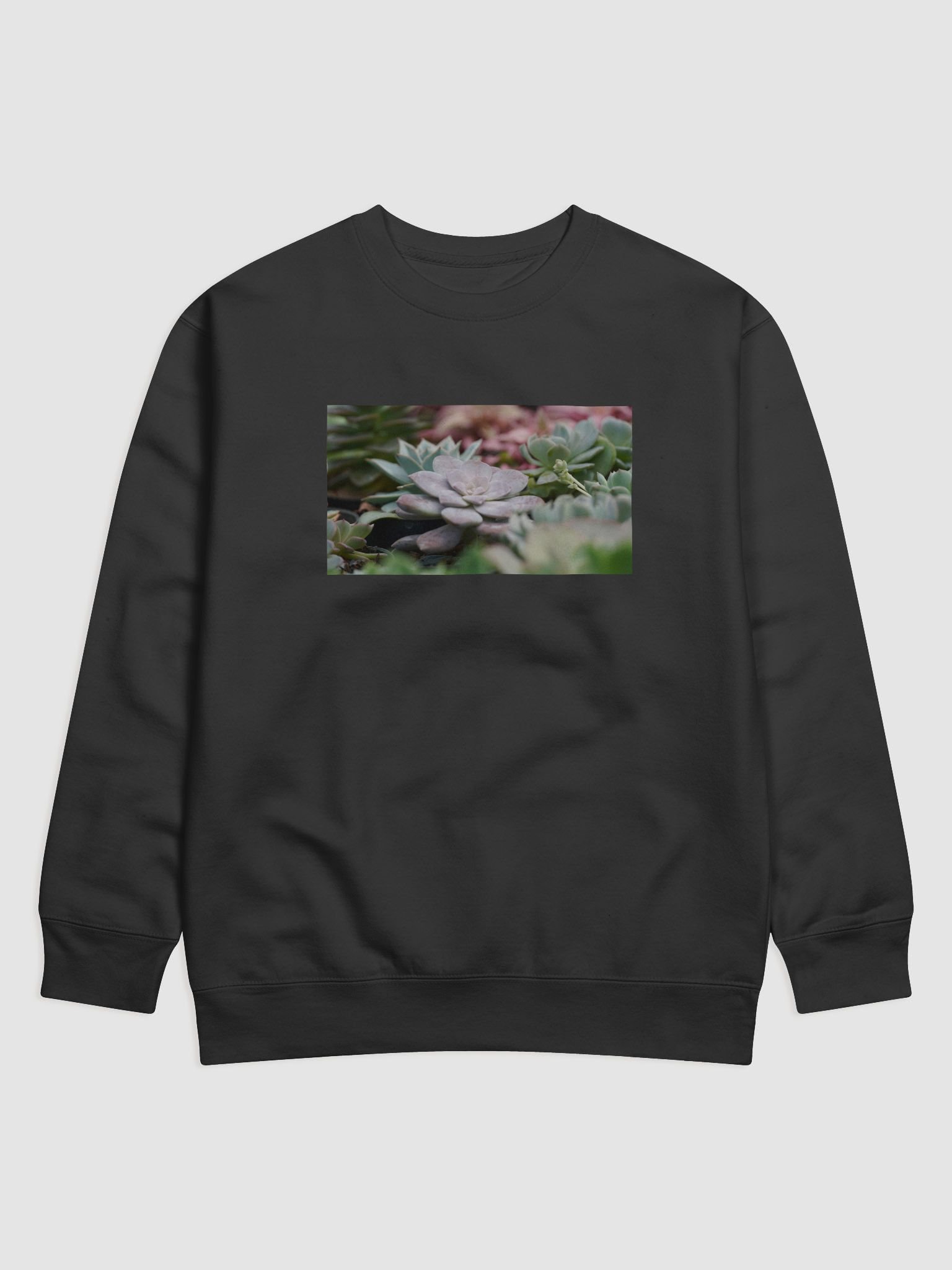 Succulent Serenity Sweatshirt product image (1)