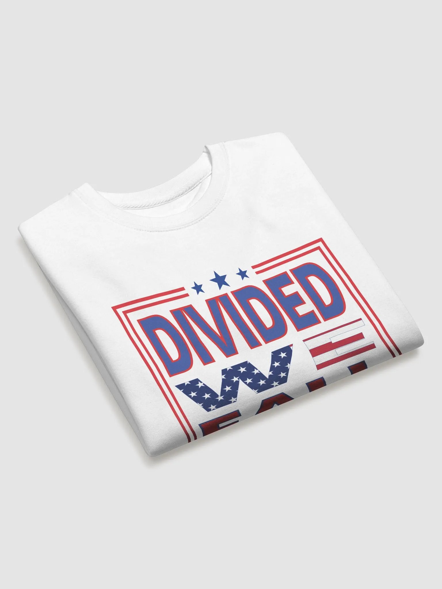 Divided We Fall - USA - Cotton Heritage Premium Sweatshirt product image (3)