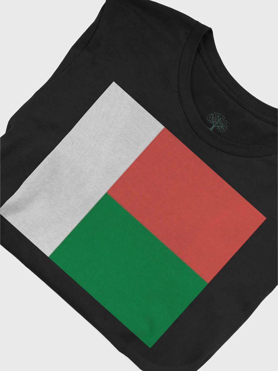 Exclusive Graphic Grove Supersoft Unisex Madagascar Flag T-Shirt product image (7)