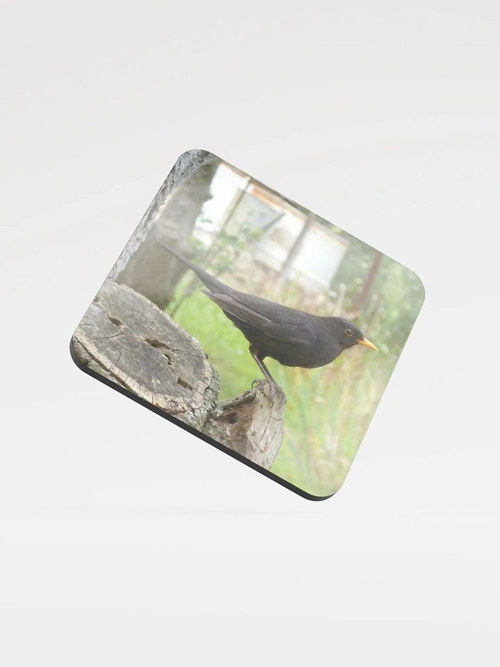 Glossed Cork Coaster - The common blackbird product image (1)