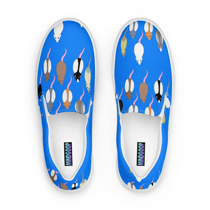 Rat pack, canvas slip on shoes (womens) product image (1)
