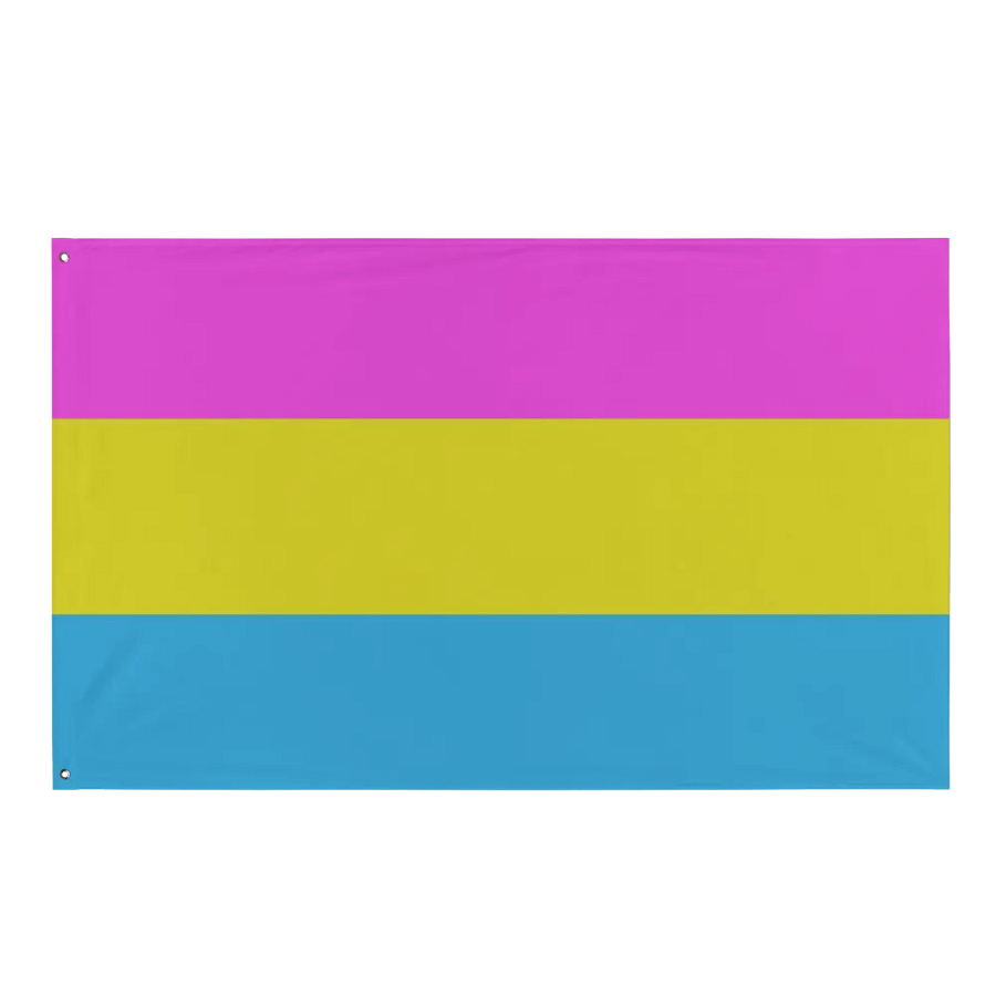 Pan Pride Flag product image (1)
