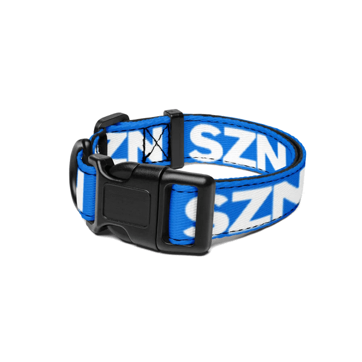 Dog Collar product image (1)