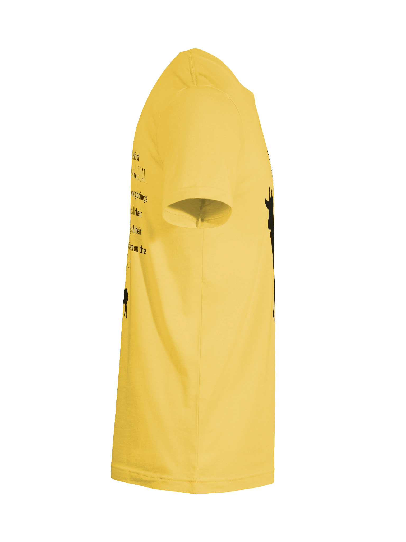 Jesus is the G.O.A.T. T-Shirt (Light Colors) product image (12)