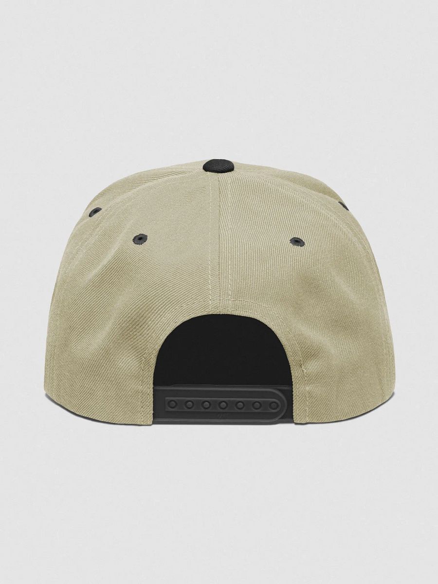 T4P Wool Blend Snapback - Beige/Maroon product image (4)