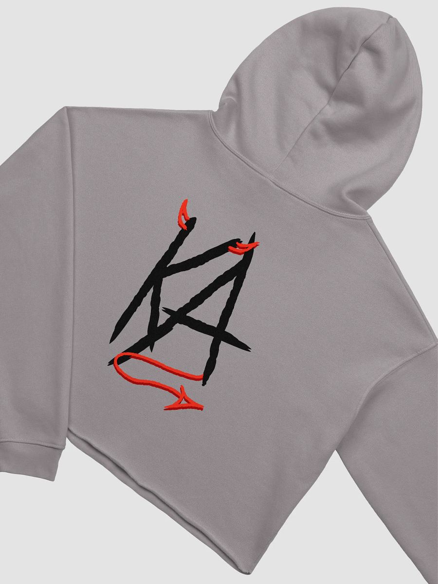 Eeriesistable👻 - Graphic Cropped Hoodie product image (1)