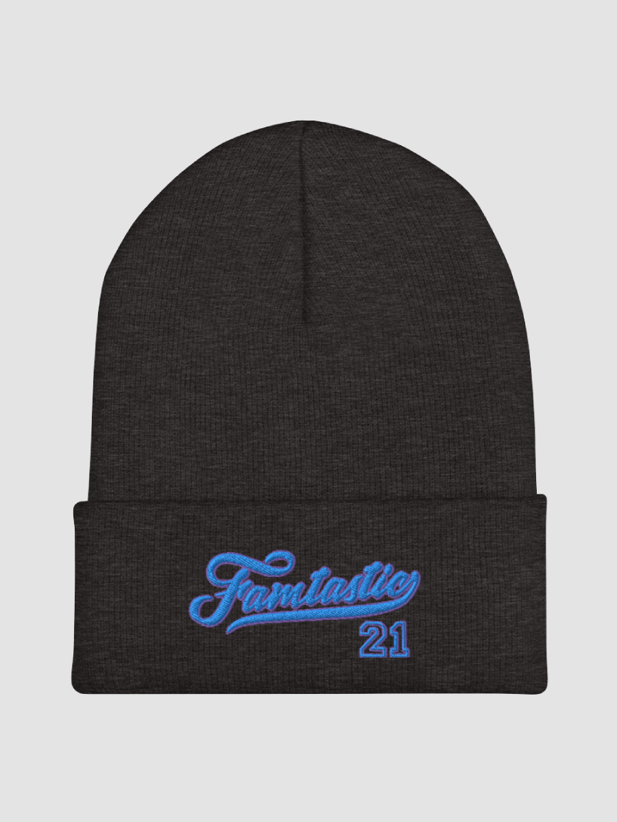 Famtastic Beanie product image (1)