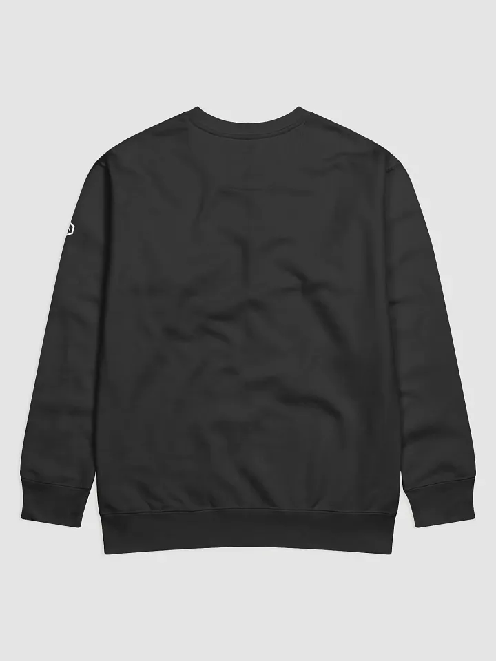 GeoPup: The Kaleidoscope Companion Sweatshirt product image (2)