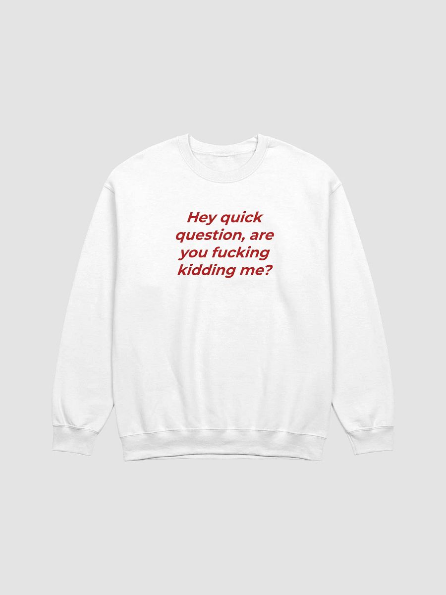 Hey Quick Question, Are You Fucking Kidding Me Sweatshirt product image (1)