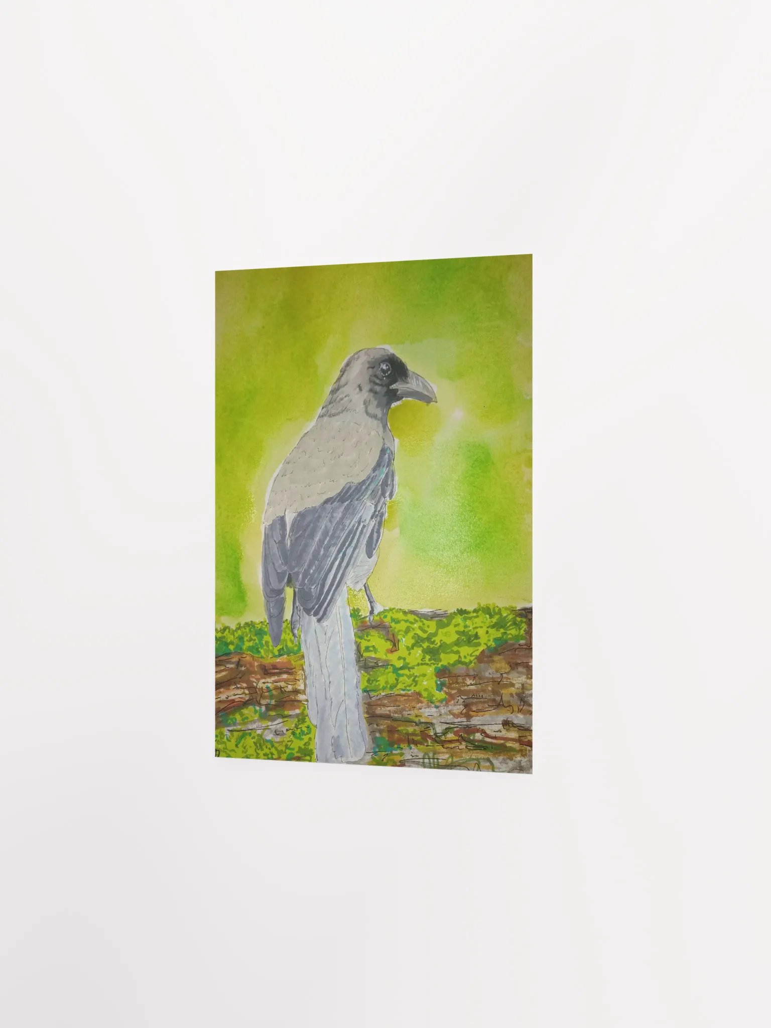 Corvid Series [05] Grey Treepie poster print product image (2)