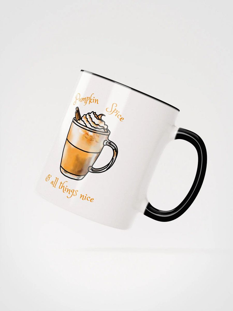 Pumpkin Spice Mug product image (6)