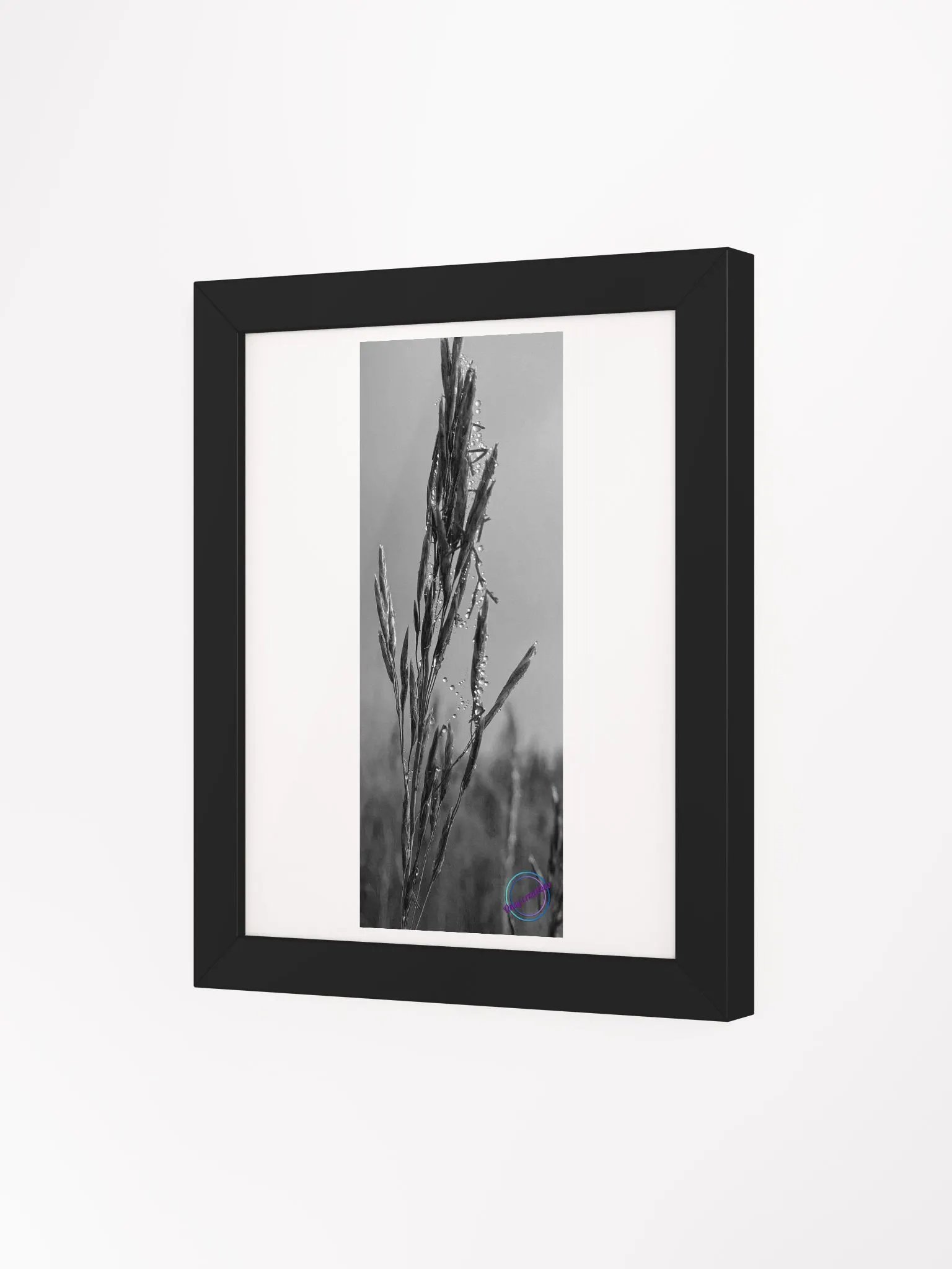 Dewy web product image (5)