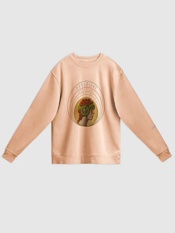 KASSANDRA FORESIGHT pigment dyed sweatshirt product image (3)
