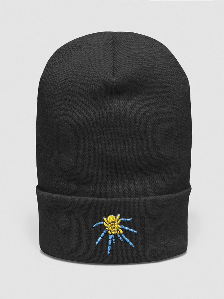 Harpactira pulchripes Embroidered Beanie product image (1)