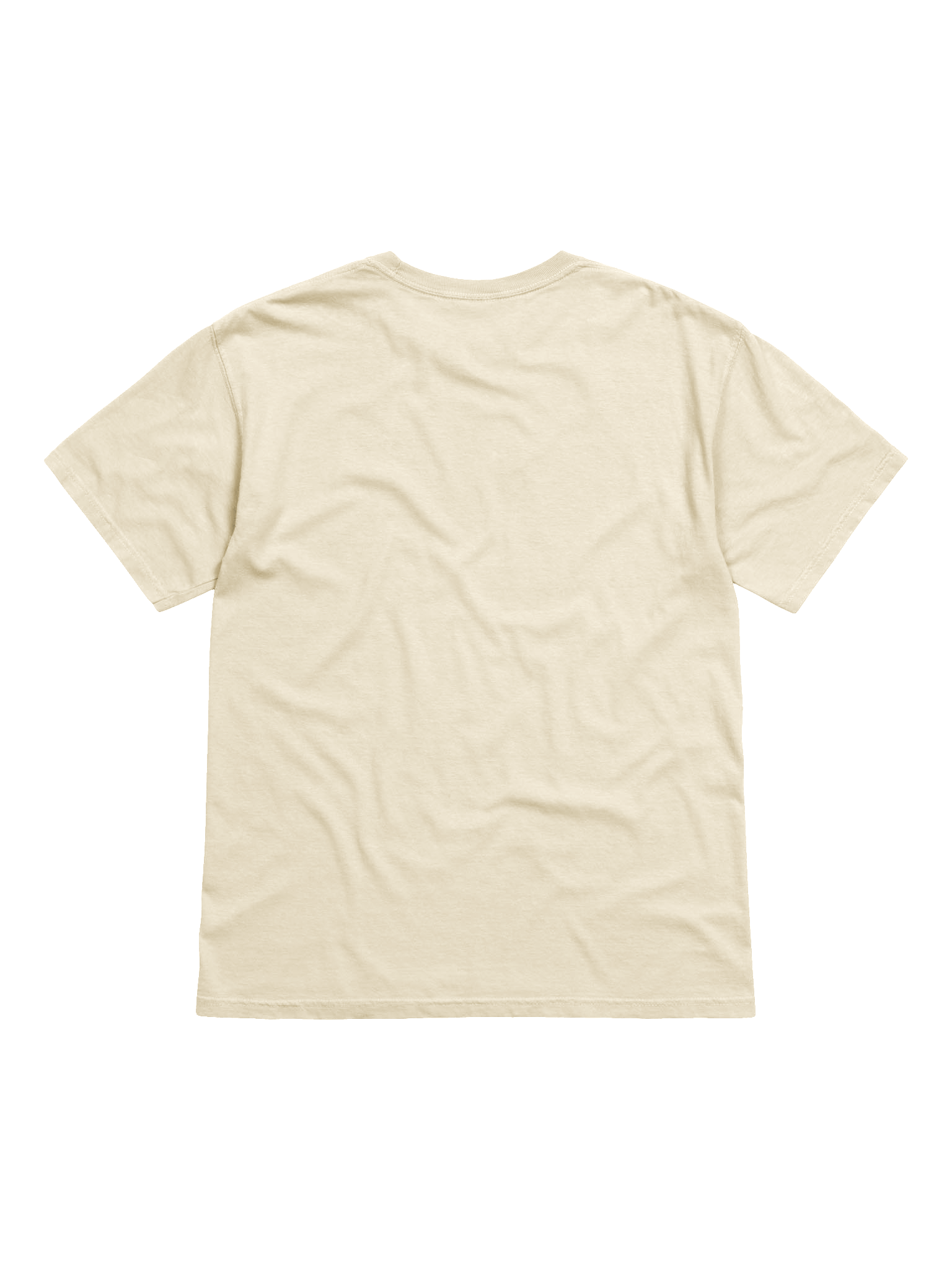 Ram Dass Book Tee (Comfort Colors) product image (2)