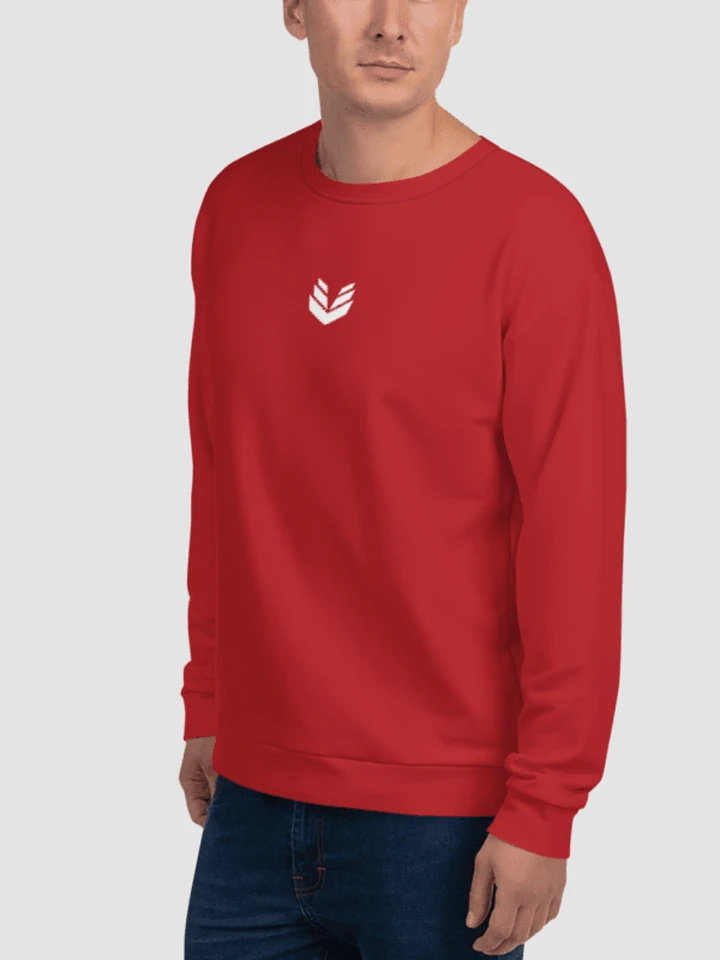 Sweatshirt - Berry Red product image (1)