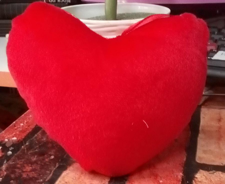 HEART PILLOW product image (3)