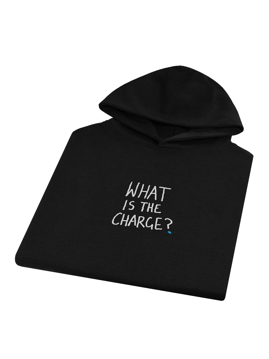 Garn 'What Is The Charge' Hoodie product image (2)