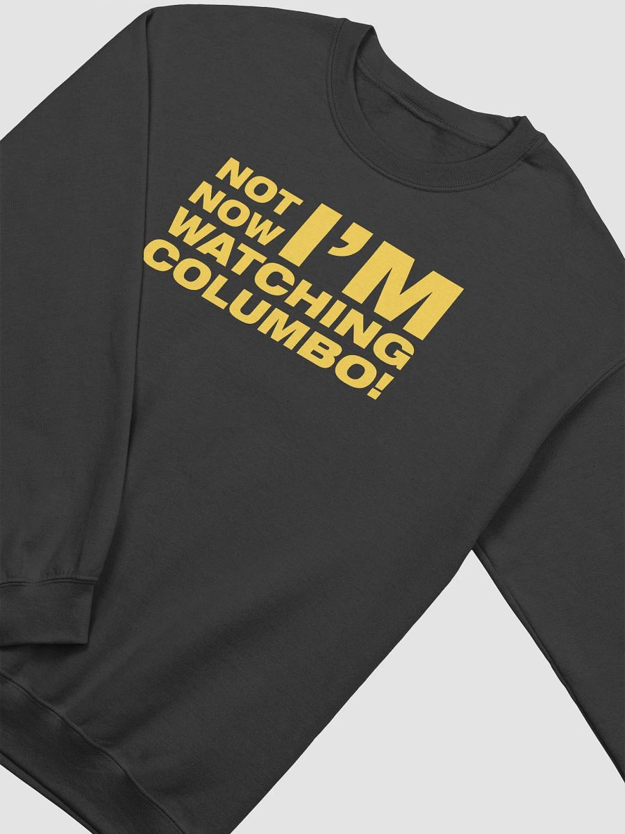 Not Now! Sweatshirt product image (10)