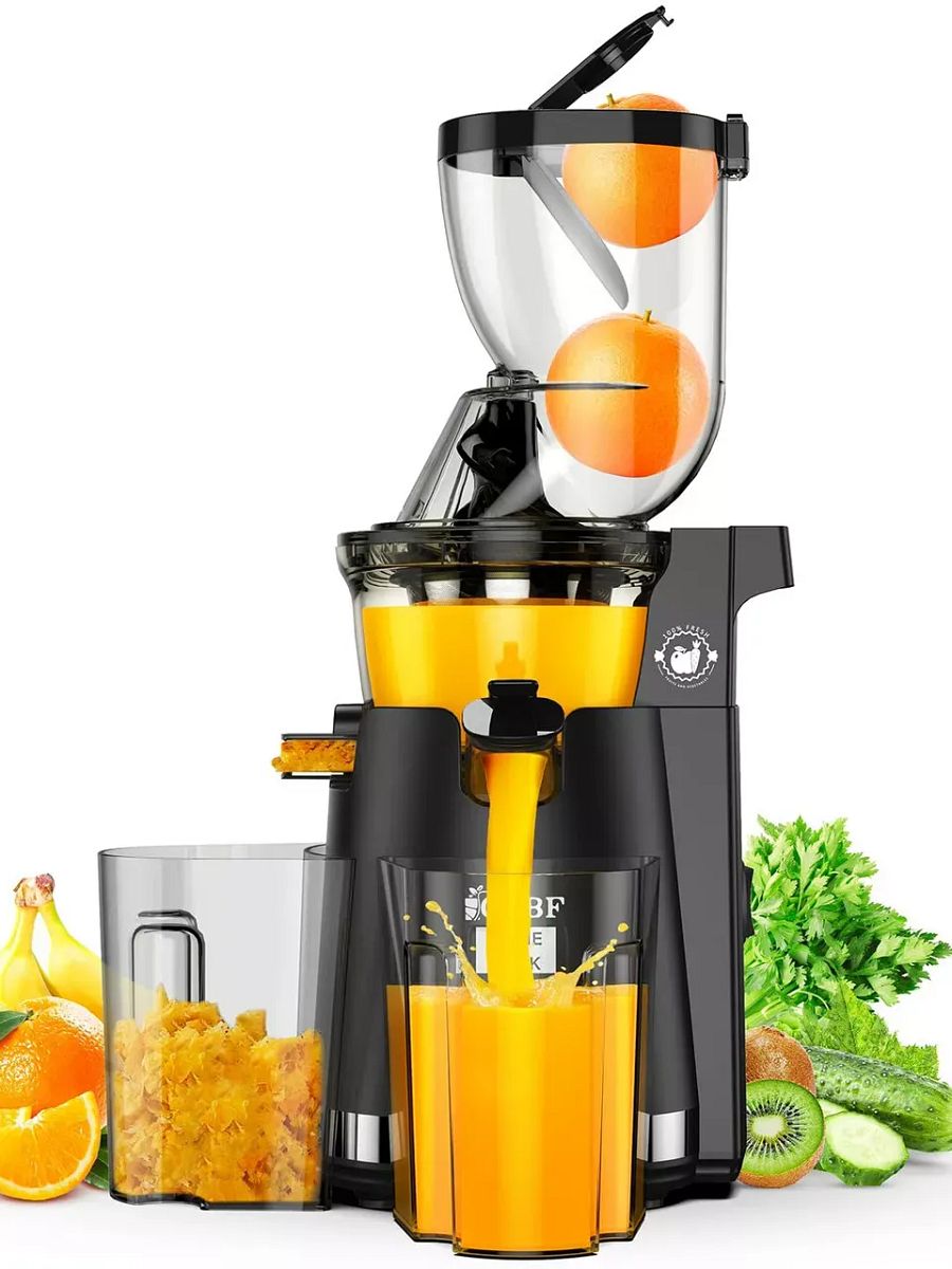 300W Slow Masticating Juicer Machines product image (3)