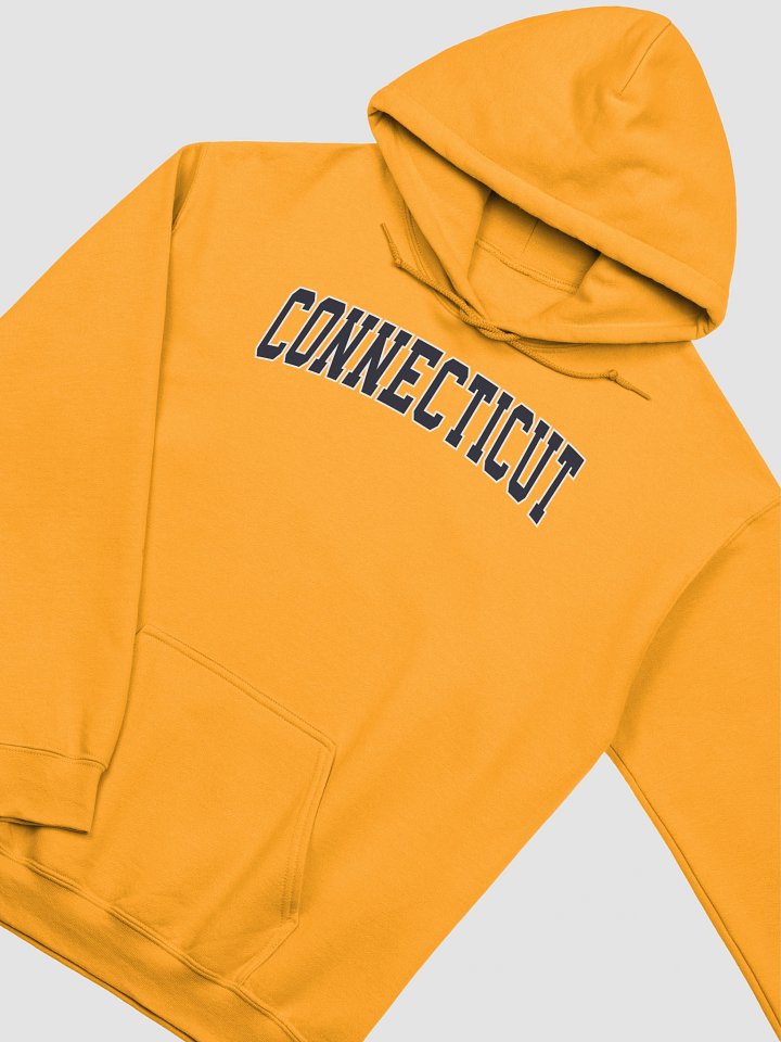 Connecticut Vintage Stylish Classic Hoodie product image (2)