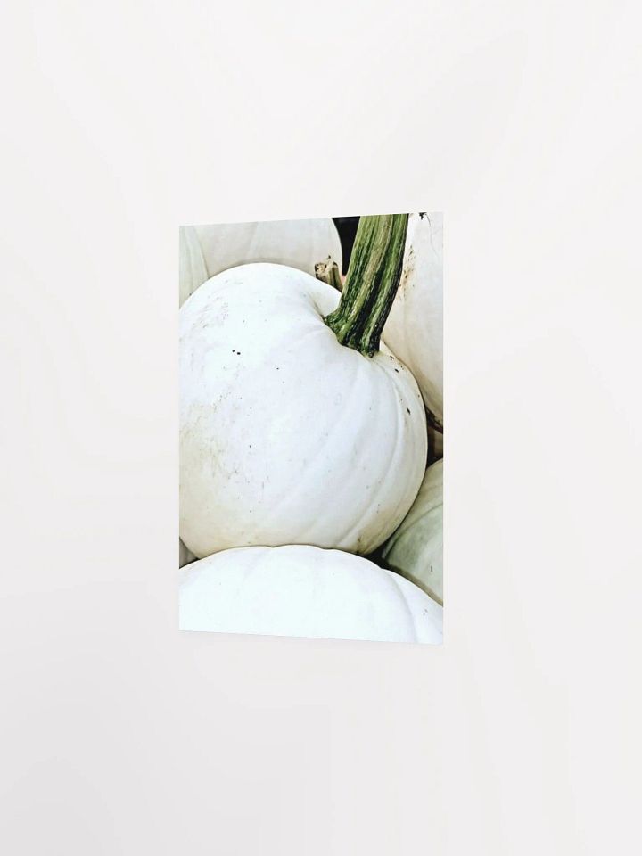 White Pumpkin product image (16)