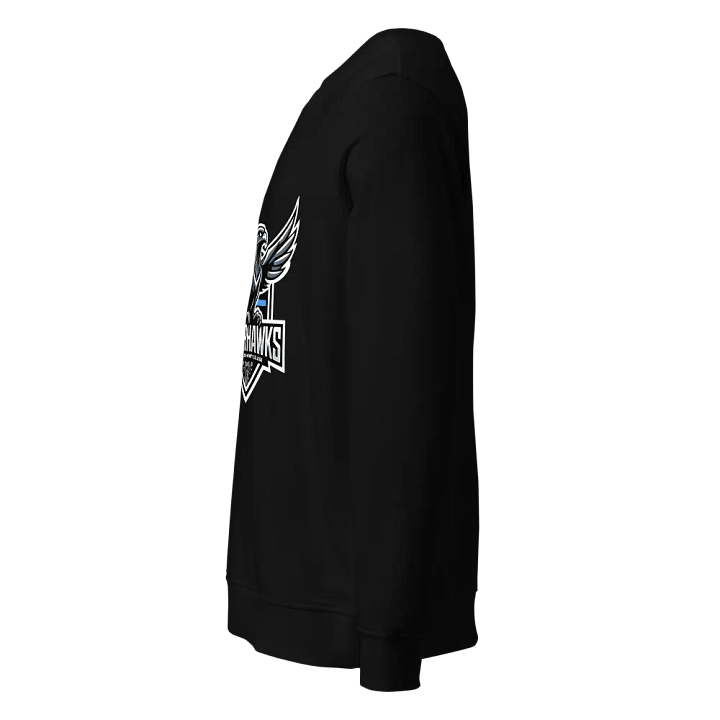 Sweatshirt product image (2)