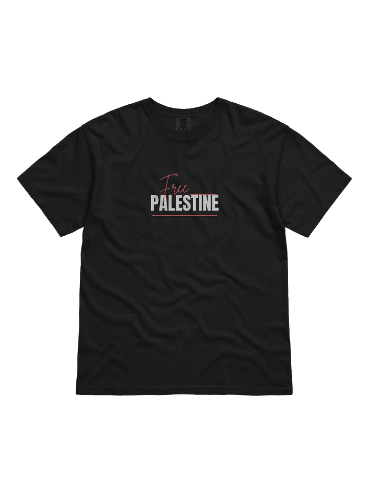 The Flotilla: Free Gaza Shirt product image (1)
