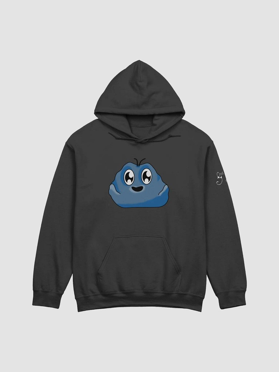 Gary Hoody product image (2)