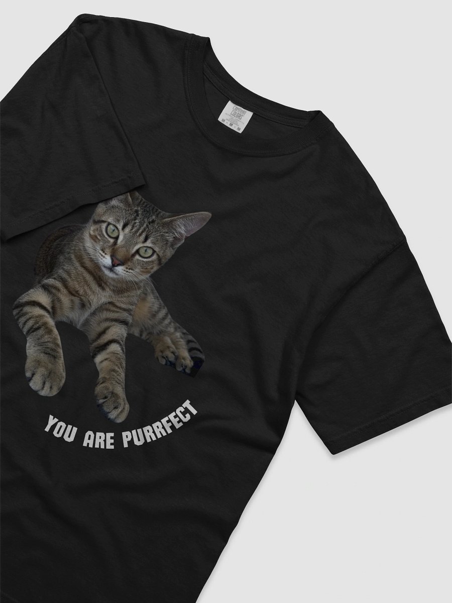 Purrfect tee product image (3)