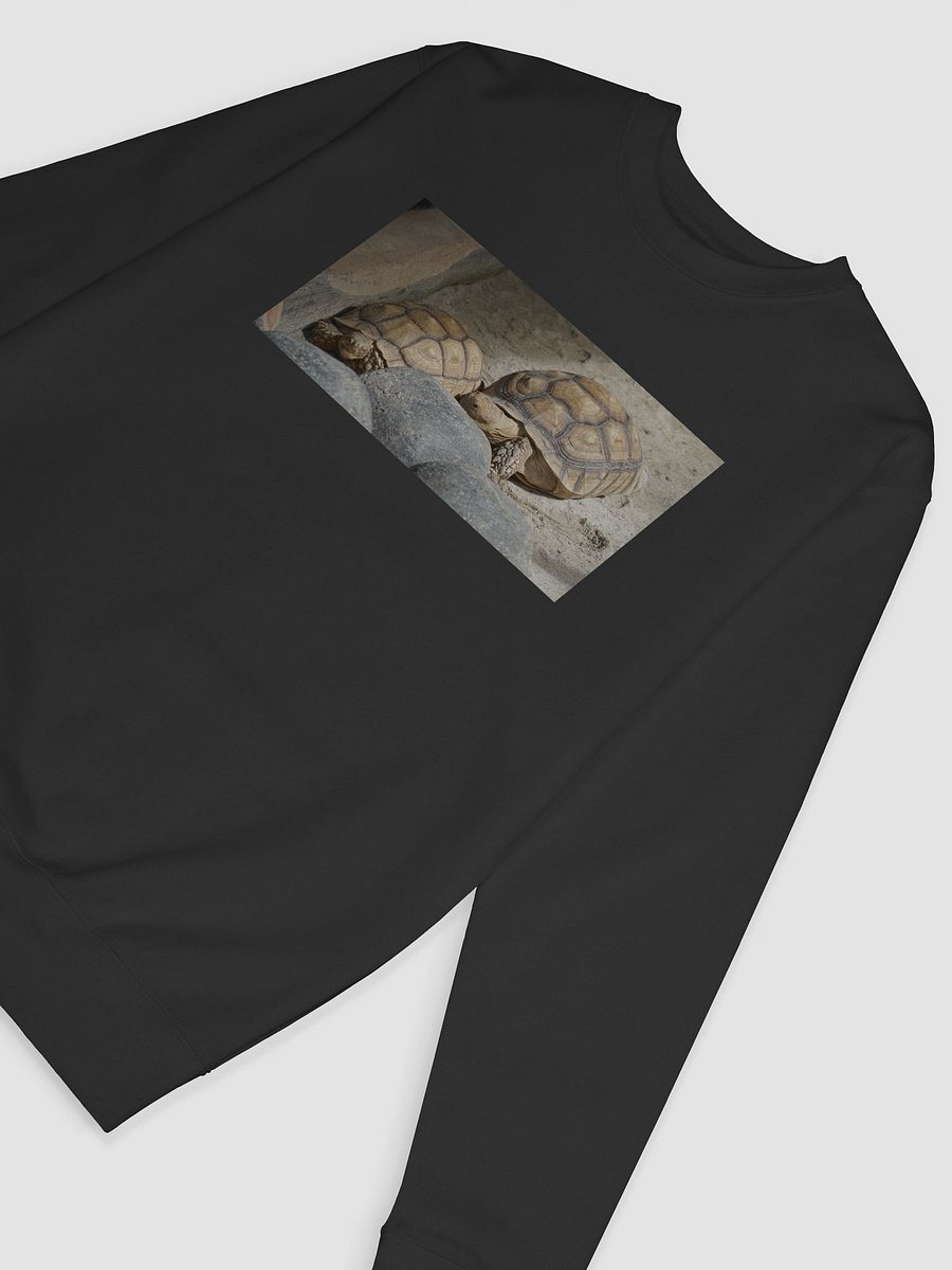 Hexagonal Tortoise Oasis Sweatshirt product image (6)