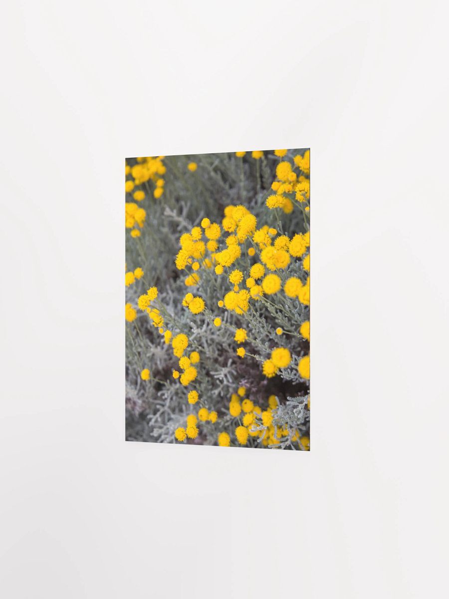 Flores amarillas - Enhanced Matte Paper Poster product image (2)