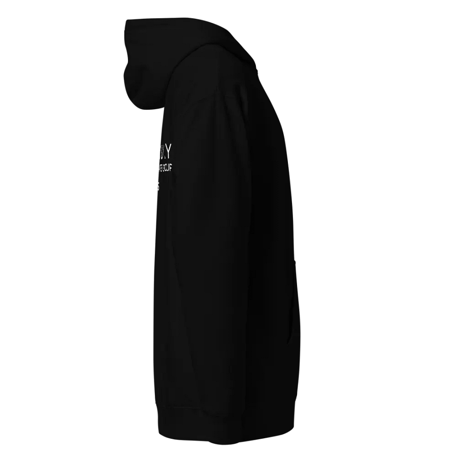 NJLRE X SERHANT - NJLRE STUDIOS UNISEX HOODIE product image (4)