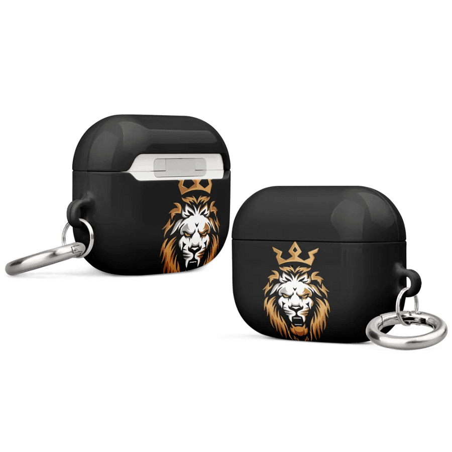 earpods case product image (44)