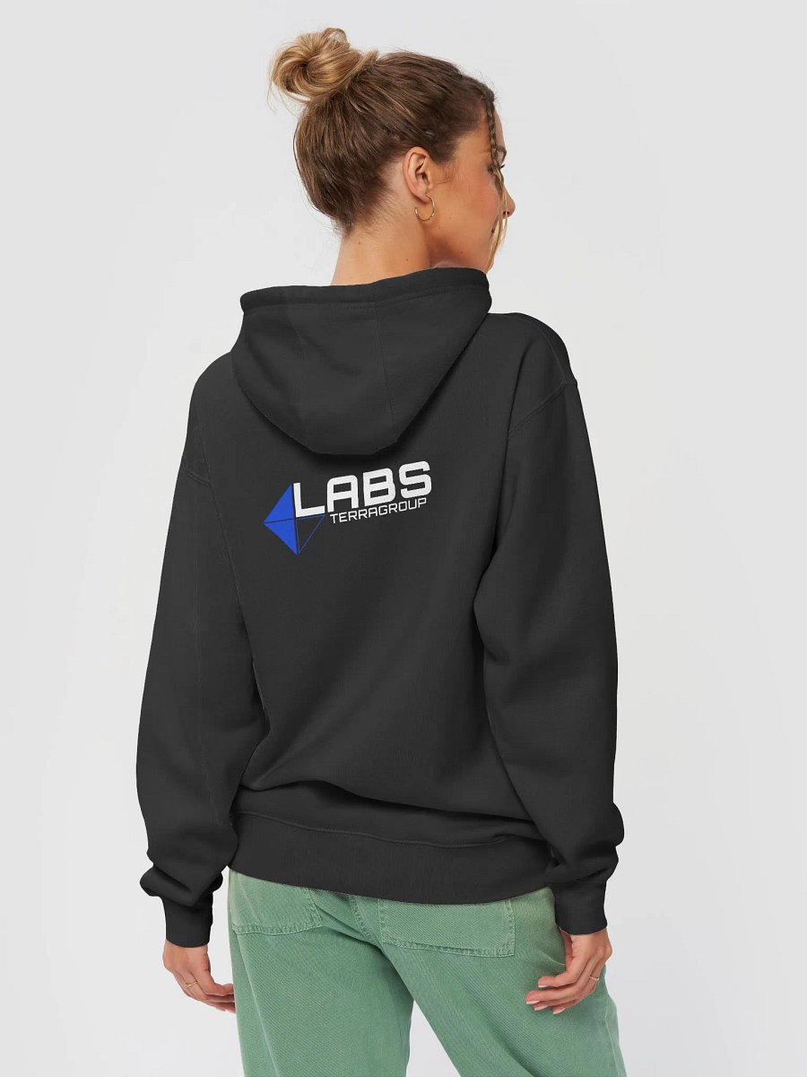 CERTIFIED CHAD HOODIE- Black product image (4)