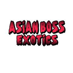 Asian Boss Exotics 🐲🔥💨