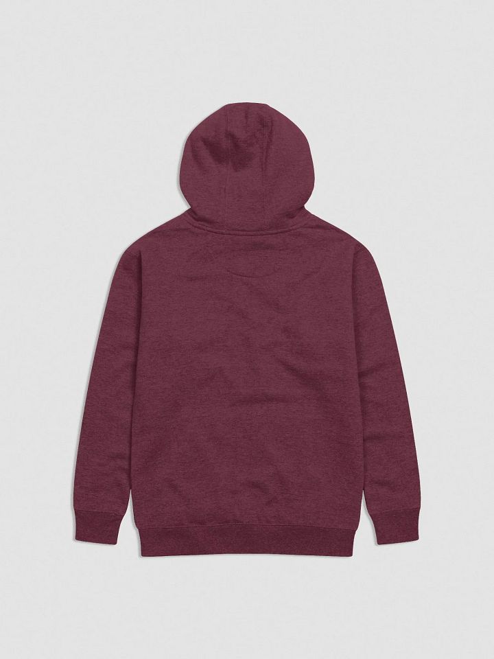 Embroidered Council Hoodie product image (8)