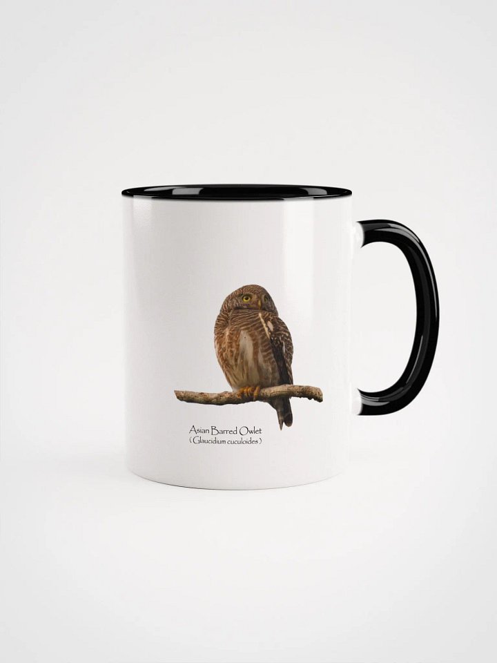 Asian Barred Owlet mug product image (2)