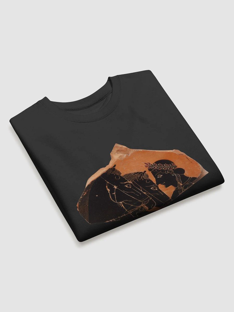 Youth steadying horses Sweatshirt product image (9)