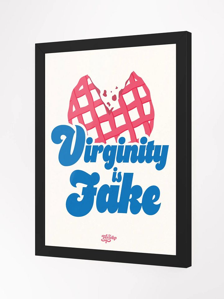 Virginity is Fake 12x16 framed poster product image (5)