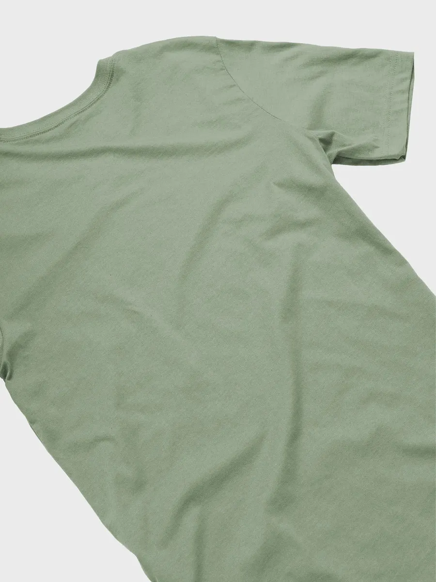 Gulf Of Mexico Sea Turtle Tee product image (40)