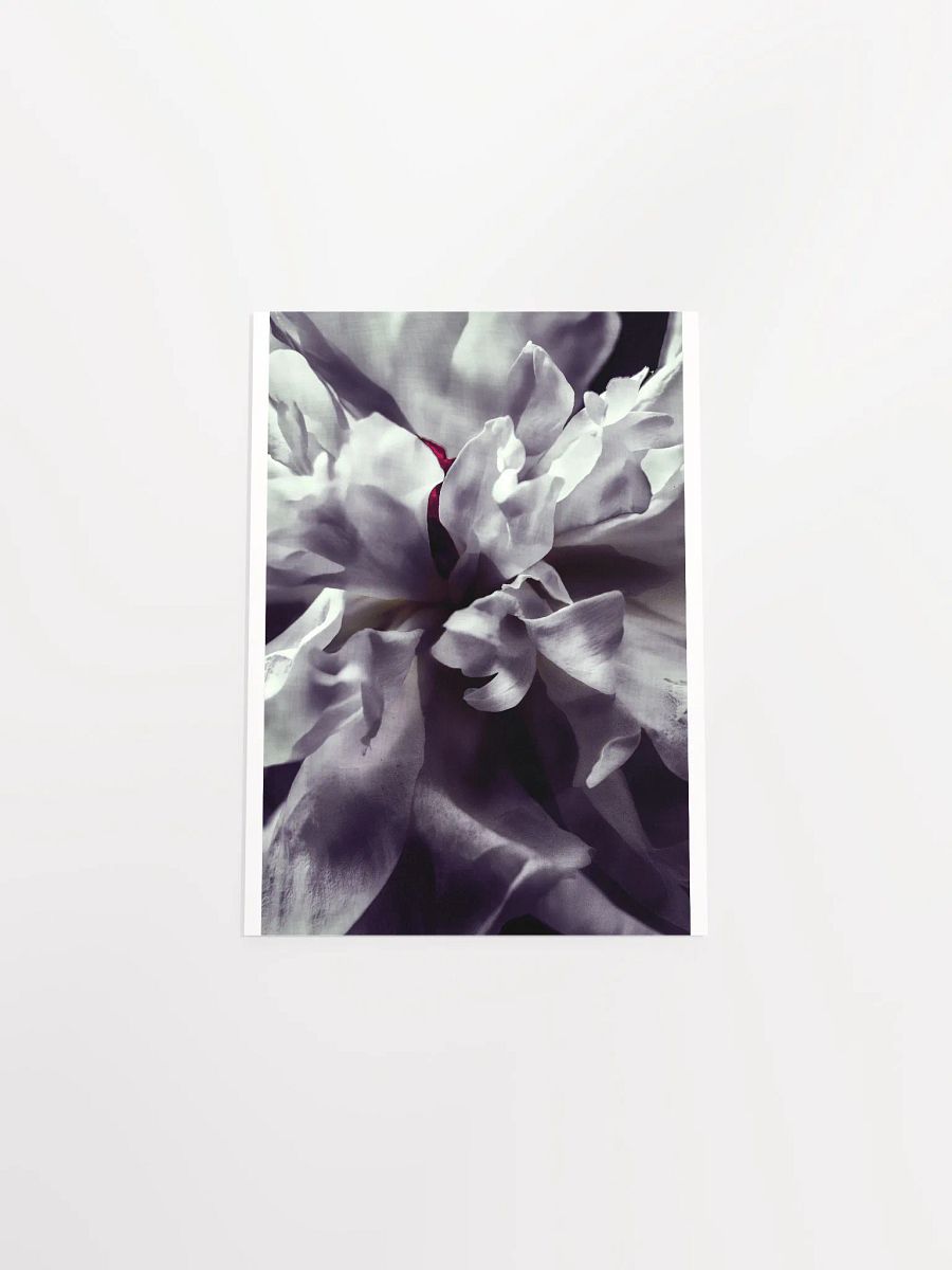 Peony Heart - Print product image (5)